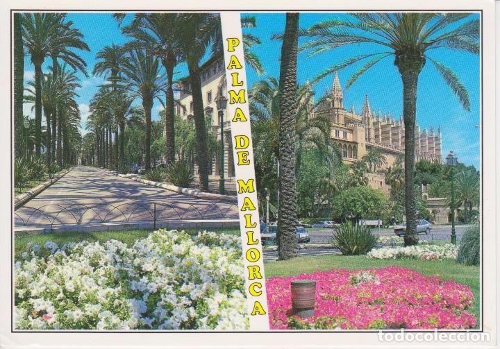 Postales: (112) MALLORCA. PALMA - Foto 1
