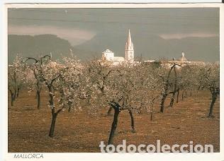 Postales: Postal Mallorca. Bihissalem. (ref: 73-108) - Foto 1