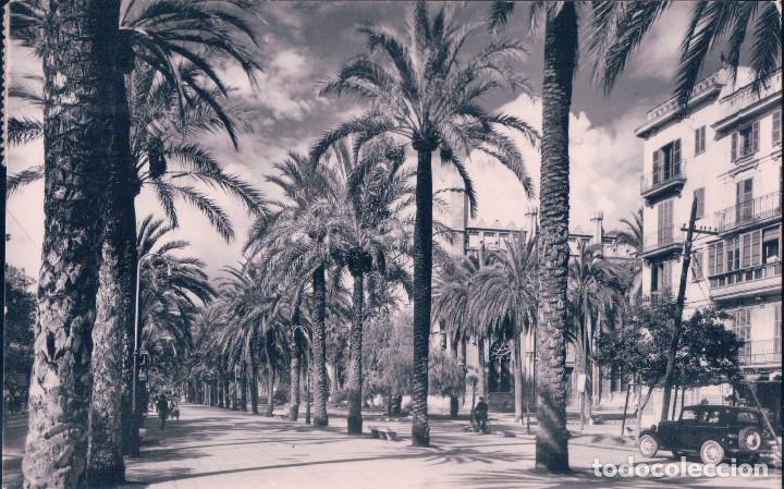 Cartoline: Mallorca.- Postal Paseo de Sagrera. 2025. Foto Casa Planas. Circulada. Coche