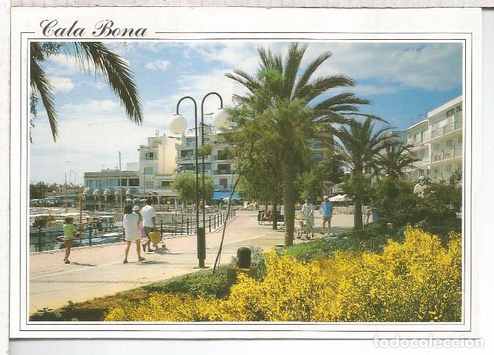 Postales: BALEARES MALLORCA ESCRITA CALA BONA - Foto 1