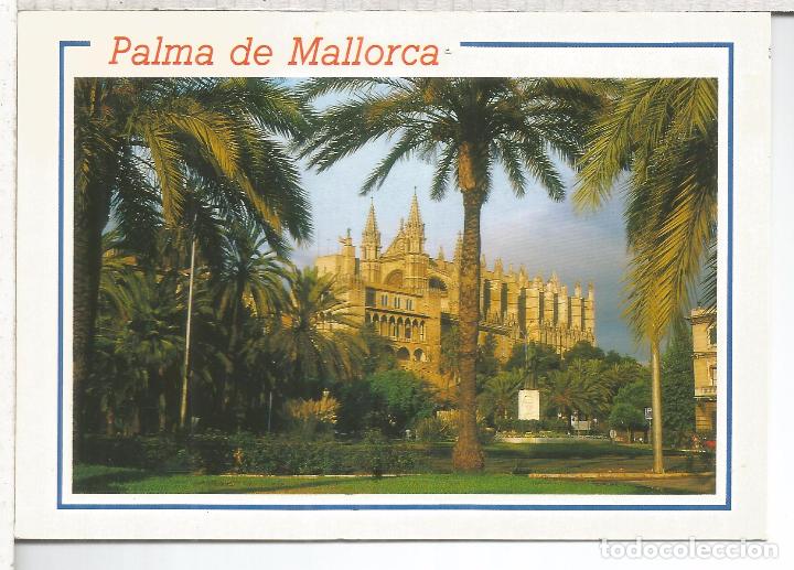 Postales: BALEARES MALLORCA ESCRITA CALA RATJADA - Foto 1