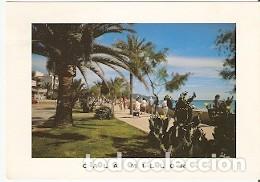 Postales: Postal Mallorca. Cala Millor. ref. 73-137 - Foto 1