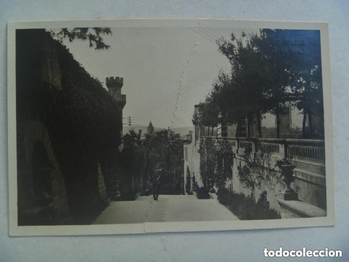 Postales: POSTAL DE PALMA DE MALLORCA : CALLE DE LA SEO.