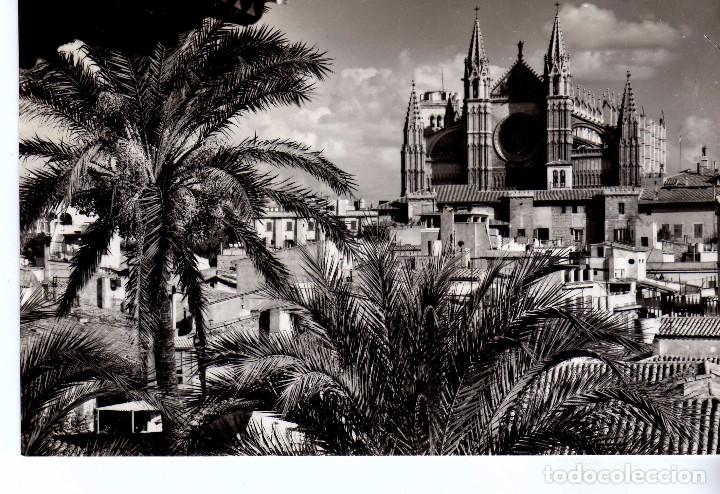 Postales: LA CATEDRAL DESDE SEGRERA (MALLORCA) FOTO CASA PLANAS N&ordm;2325