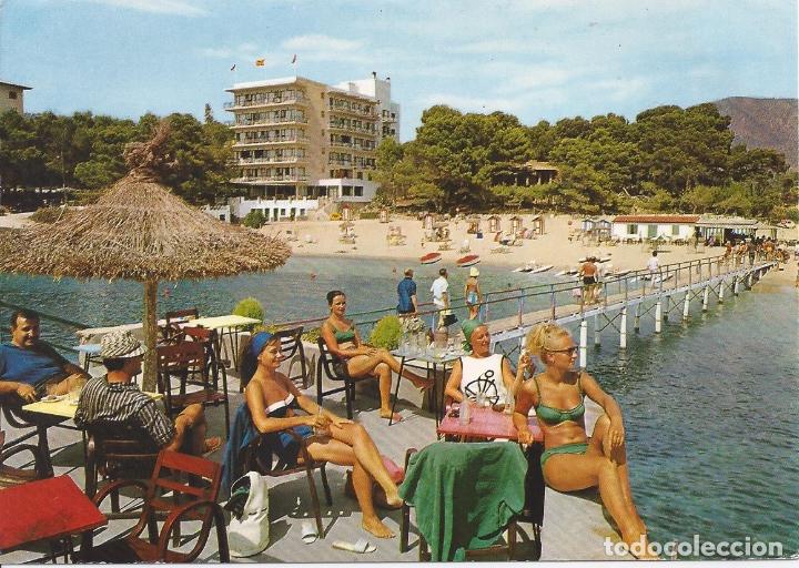 Postales: Postal playa de Camp de Mar. Mallorca - Foto 1