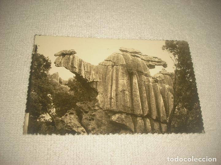 Postales: MALLORCA , LLUCH . EL CAMELL, SIN CIRCULAR - Foto 1