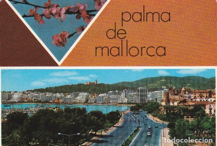 Postales: N&ordm; 31441 POSTAL PALMA DE MALLORCA