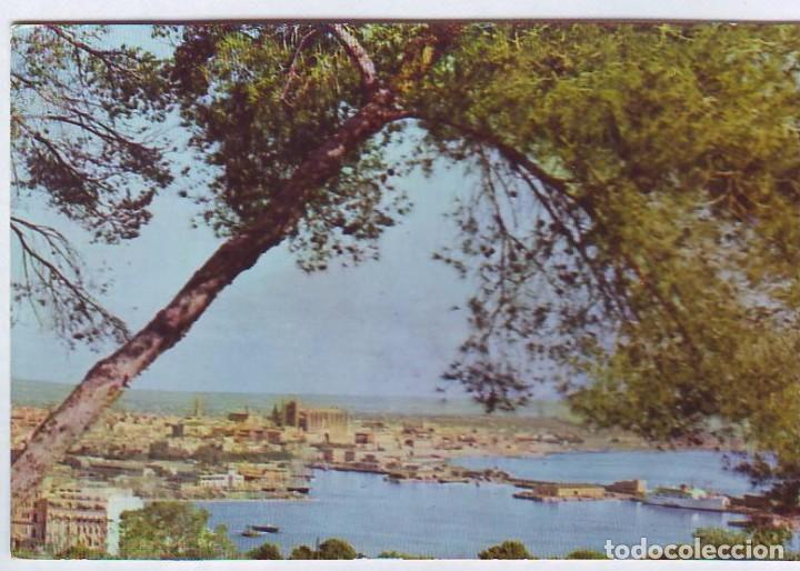 Postcards: ESPA&Ntilde;A POSTALES BALEARES LOTE 928 LA CATEDRAL DESDE EL BOSQUE CIRCULARDA