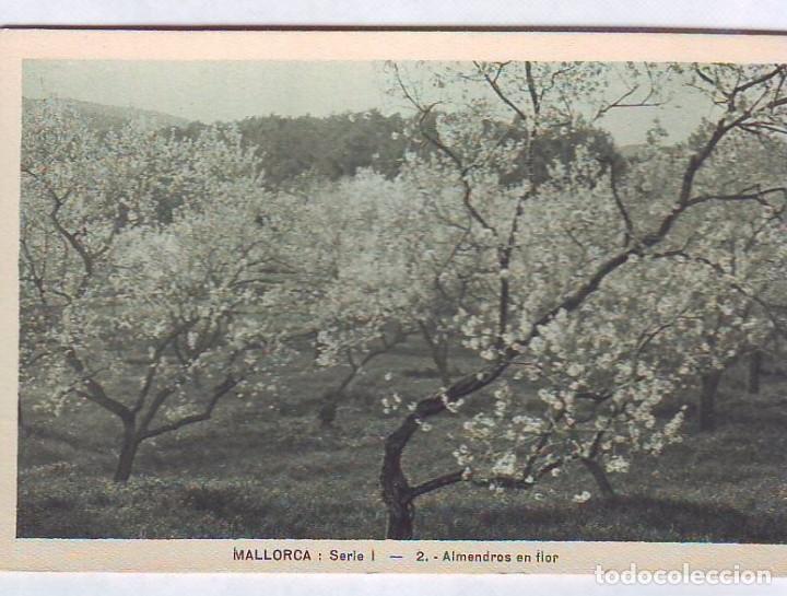 Postcards: ESPA&Ntilde;A POSTALES BALEARES LOTE 956 MALLLORCA CENTRO DEL TURISMO SIN CIRCULAR