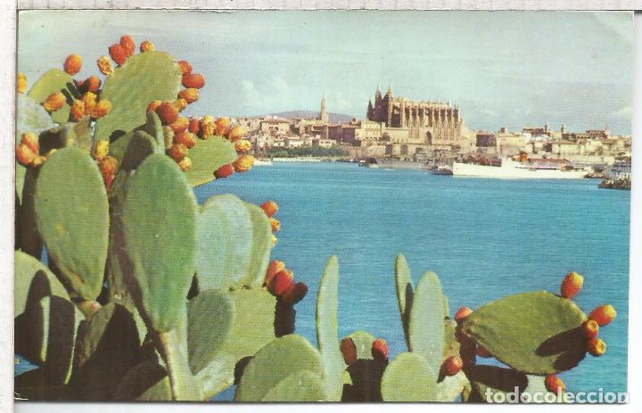 Postales: BALEARES MALLORCA PALMA ESCRITA - Foto 1