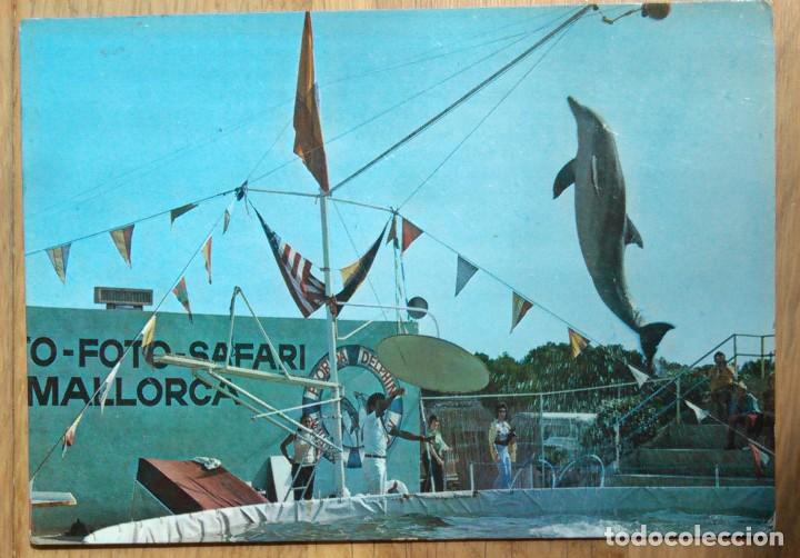 Postales: FLORIDA - DOLPHIN SHOW - MALLORCA - Foto 1