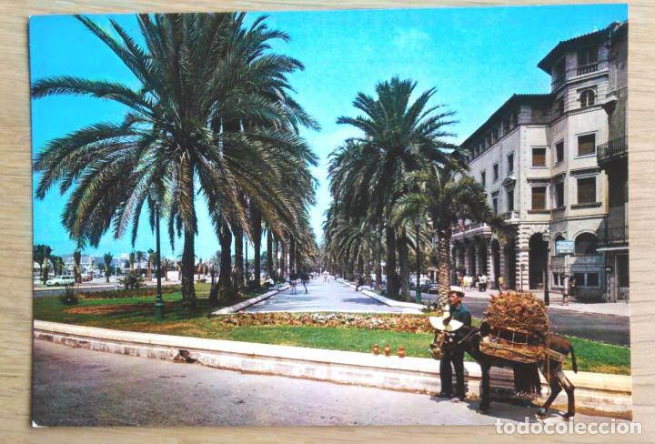 Postales: PALMA DE MALLORCA - PASEO DE SAGRERA - Foto 1