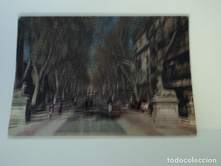 Postales: mallorca paseo del generalisimo ediciones palma circulada 1980 - Foto 1