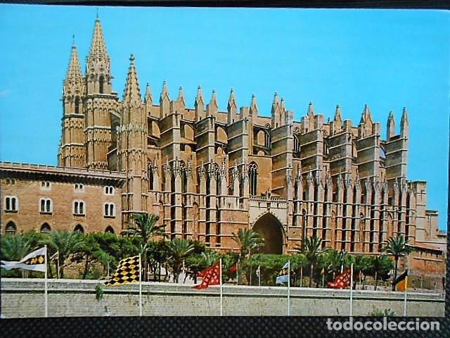 Postales: MALLORCA. CATEDRAL. SIN CIRCULAR - Foto 1