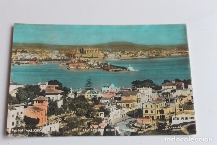 Postkarten: POSTAL COLOREADA PALMA DE MALLORCA LA CATEDRAL DESDE EL TERRENO, ZERKOWITZ