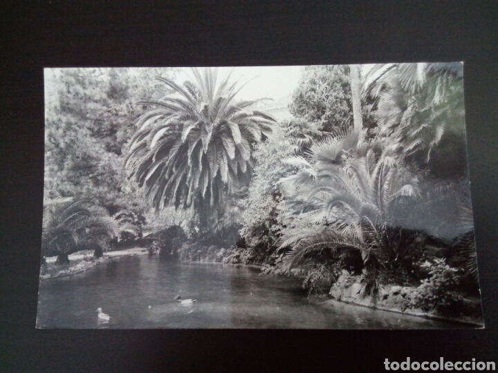 Postales: Postal de Palma de Mallorca - Foto 1