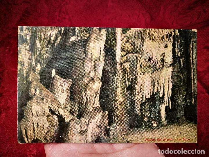 Postales: MANACOR CUEVAS DEL DRACH LA FOCA - Foto 1