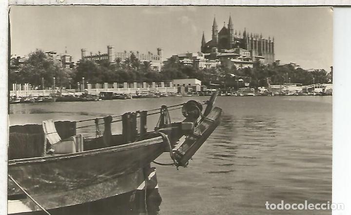 Postales: PALMA MALLORCA ESCRITA - Foto 1