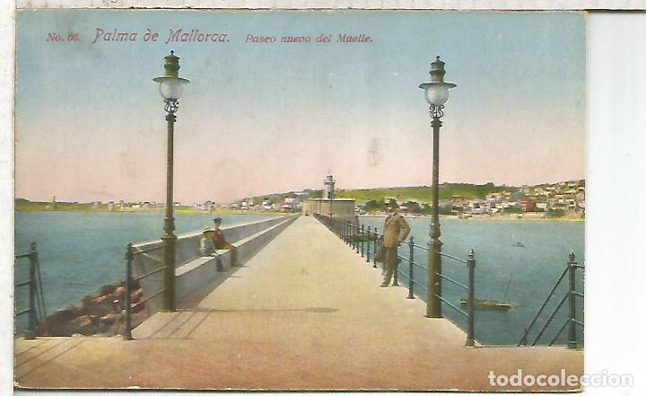Postales: PALMA MALLORCA SIN ESCRIBIR - Foto 1