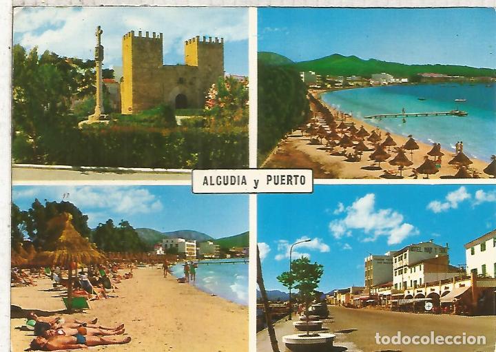 Postales: ALCUDIA MALLORCA ESCRITA - Foto 1