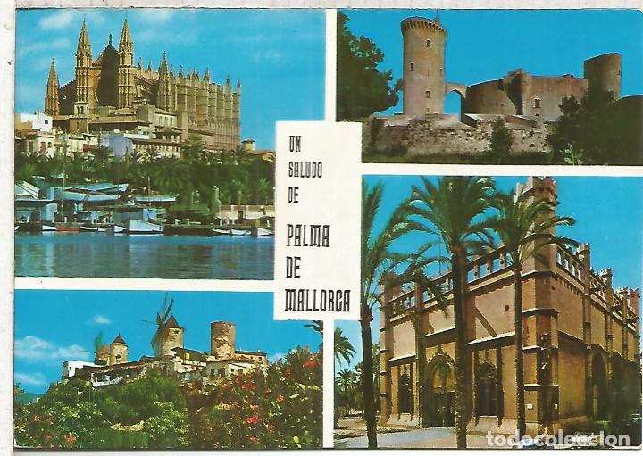 Postales: PALMA MALLORCA ESCRITA - Foto 1
