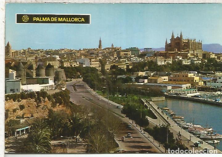 Postales: PALMA MALLORCA ESCRITA - Foto 1