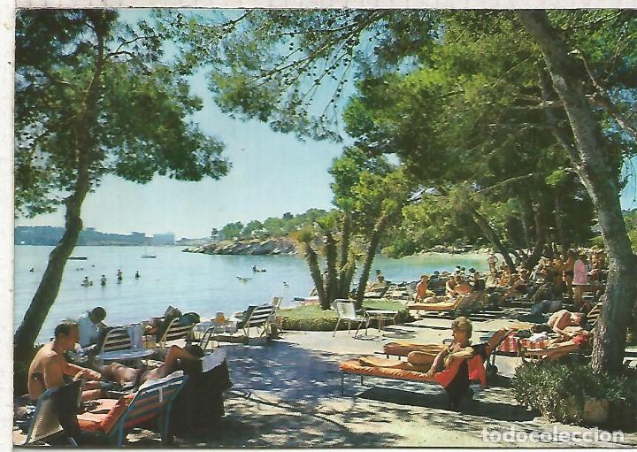 Postales: PALMA NOVA MALLORCA ESCRITA - Foto 1