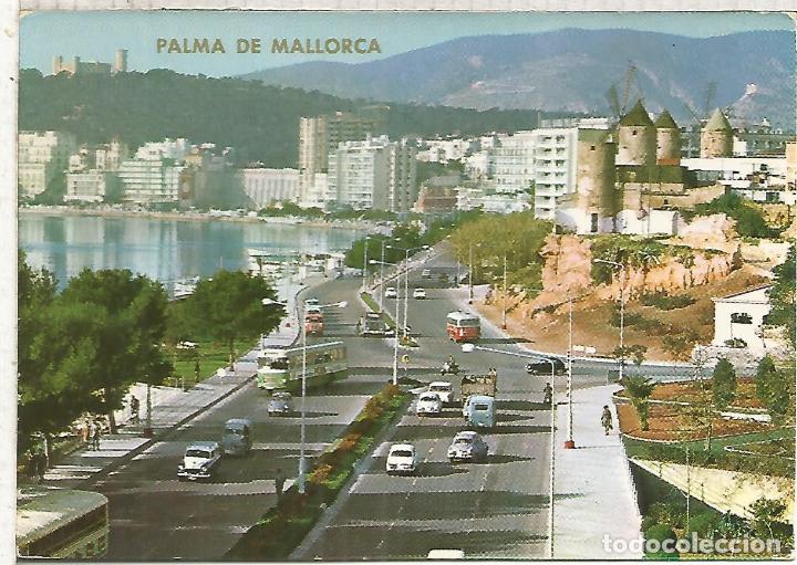 Postales: PALMA MALLORCA ESCRITA - Foto 1