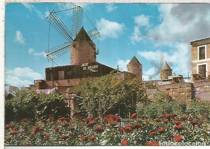 Postales: PALMA MALLORCA ESCRITA - Foto 1