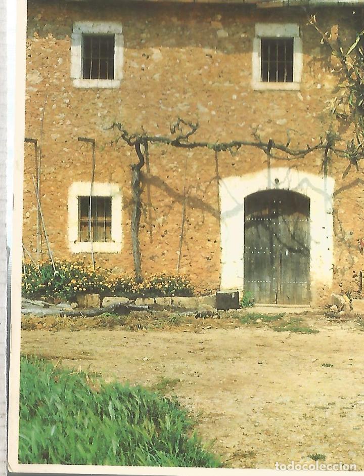 Postales: PALMA MALLORCA ESCRITA - Foto 1