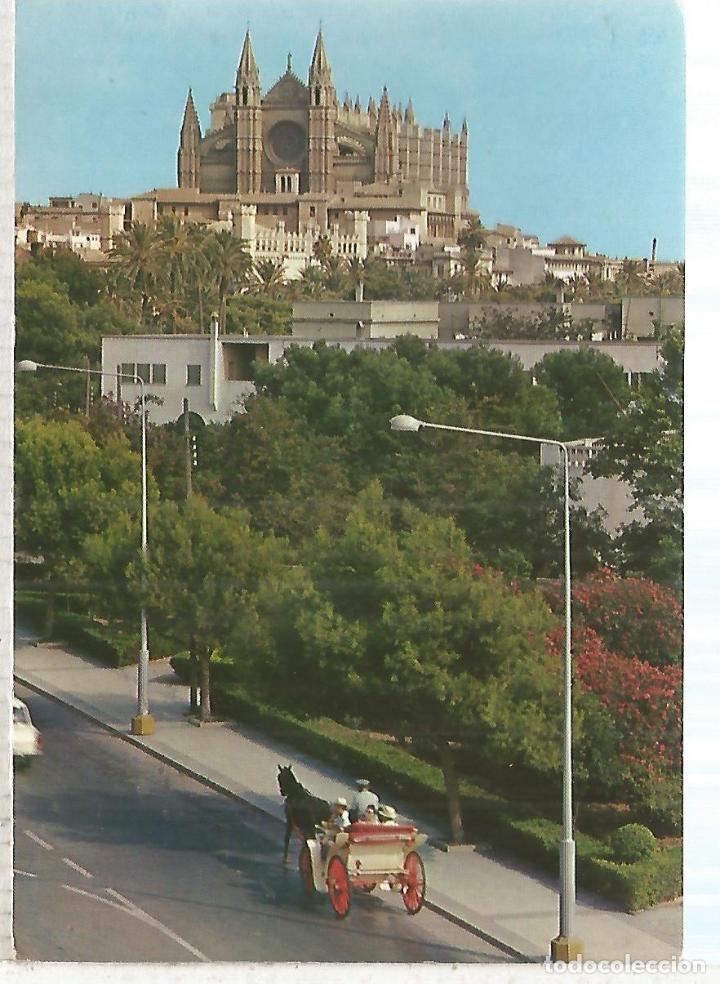 Postales: PALMA MALLORCA ESCRITA - Foto 1