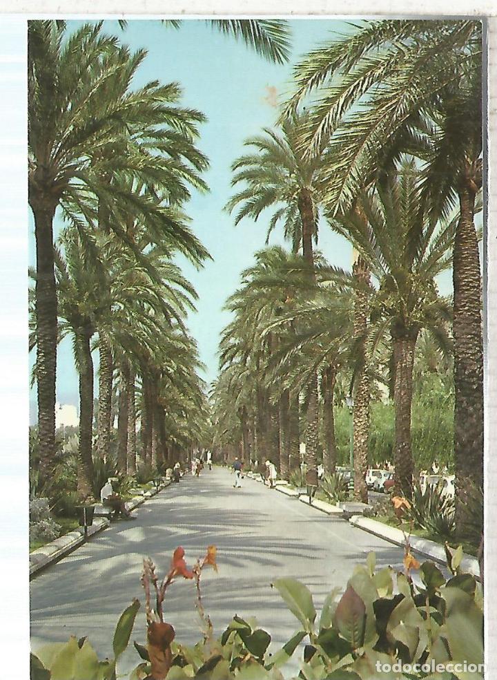 Postales: PALMA MALLORCA ESCRITA - Foto 1