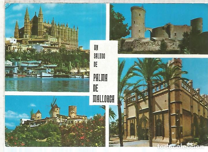 Postales: PALMA MALLORCA ESCRITA - Foto 1