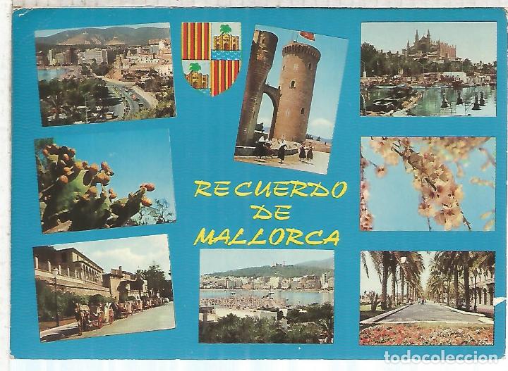 Postales: PALMA MALLORCA ESCRITA - Foto 1