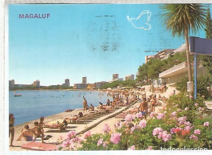 Postales: MAGALUF MALLORCA ESCRITA - Foto 1