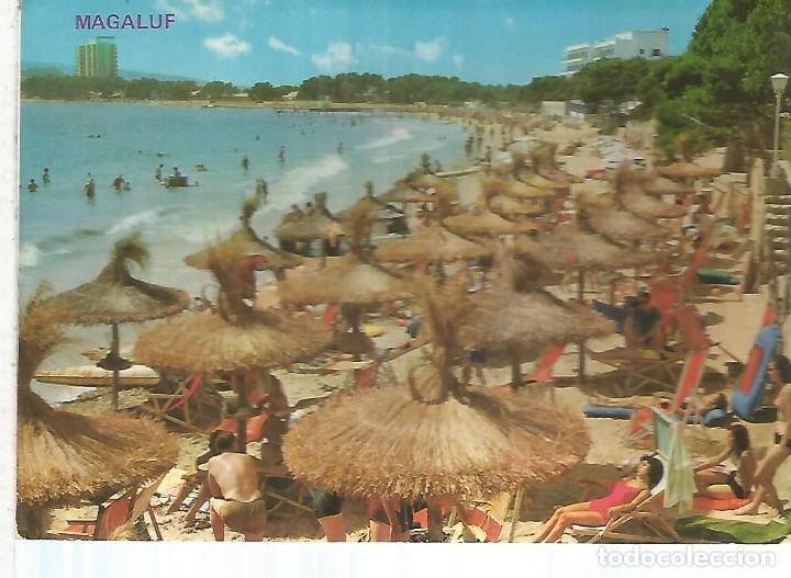 Postales: MAGALUF MALLORCA ESCRITA - Foto 1