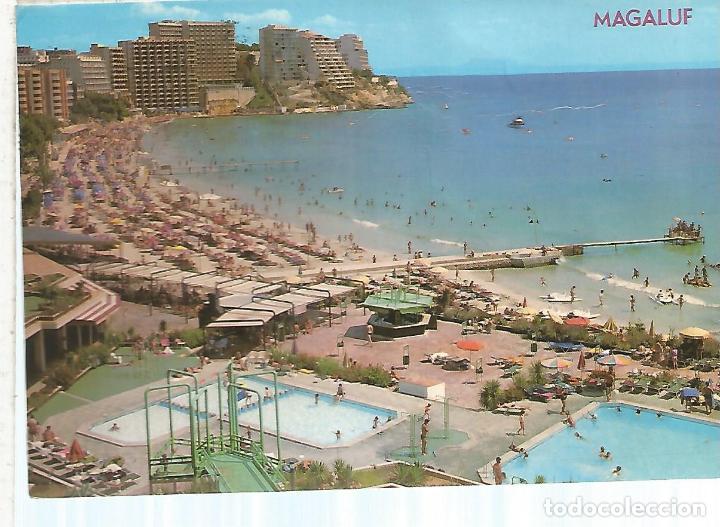 Postales: MAGALUF MALLORCA ESCRITA - Foto 1