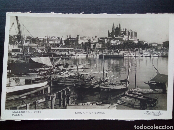 Postales: Postal de Mallorca. Lonja y Catedral. - Foto 1