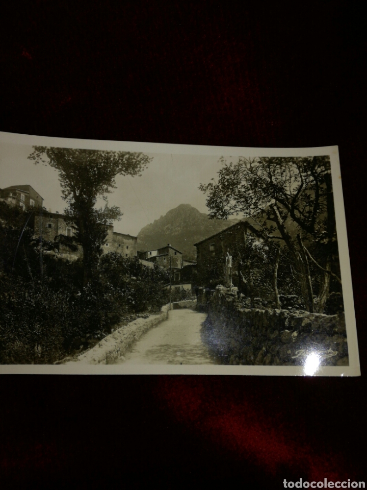 Postales: Postal Mallorca - 62 DEYA - Foto 4