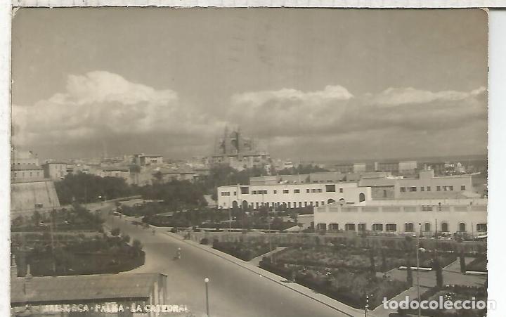 Postales: PALMA MALLORCA CATEDRAL ESCRITA - Foto 1