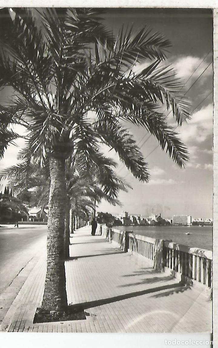Postales: PALMA MALLORCA ESCRITA - Foto 1