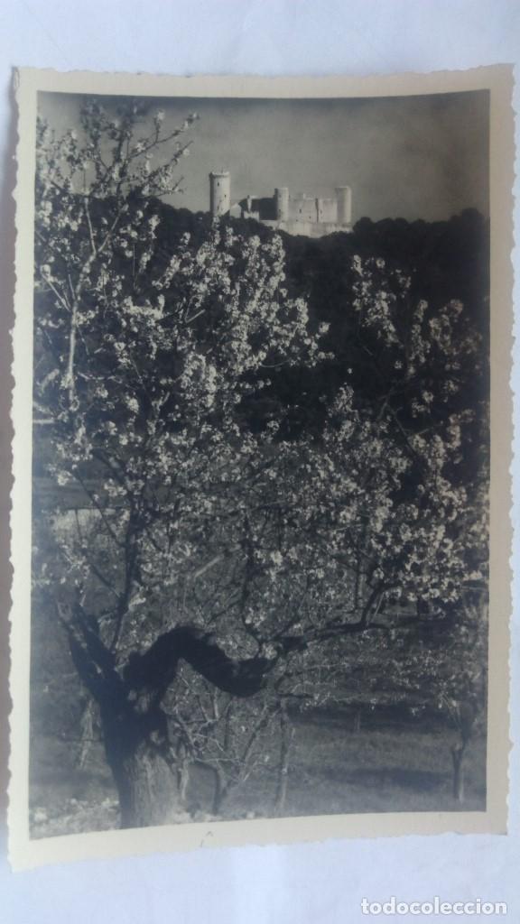 Postales: POSTAL MALLORCA, EL CASTILLO DE BELLVER, E. ORSINGER, SIN CIRCULAR - Foto 1