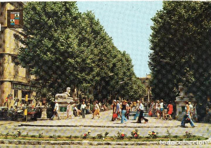 Postales: MALLORCA  PALMA  PASEO DEL BORNE - Foto 1