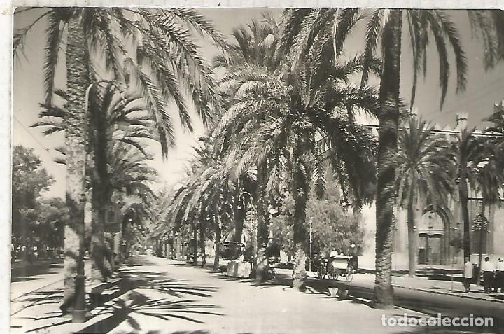Postales: PALMA MALLORCA SIN ESCRIBIR - Foto 1
