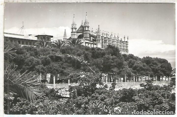 Postales: PALMA MALLORCA ESCRITA - Foto 1