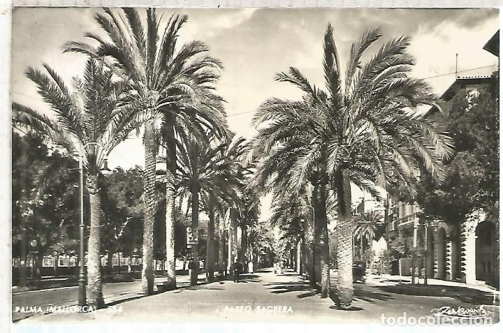 Postales: PALMA MALLORCA ESCRITA - Foto 1