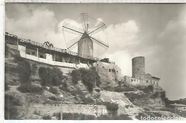 Postales: PALMA MALLORCA SIN ESCRIBIR - Foto 1