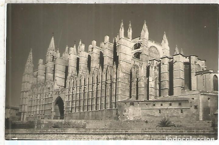 Postales: PALMA MALLORCA SIN ESCRIBIR - Foto 1