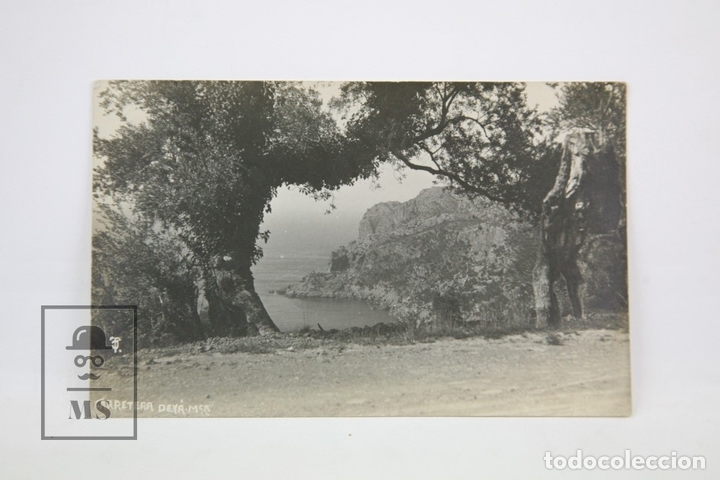 Postales: Antigua Postal Fotogr&aacute;fica - Carretera Dey&aacute; / Mallorca - Edit. Gifag - A&ntilde;os 30