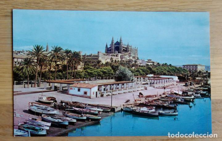 Postales: PALMA DE MALLORCA - CATEDRAL - Foto 1